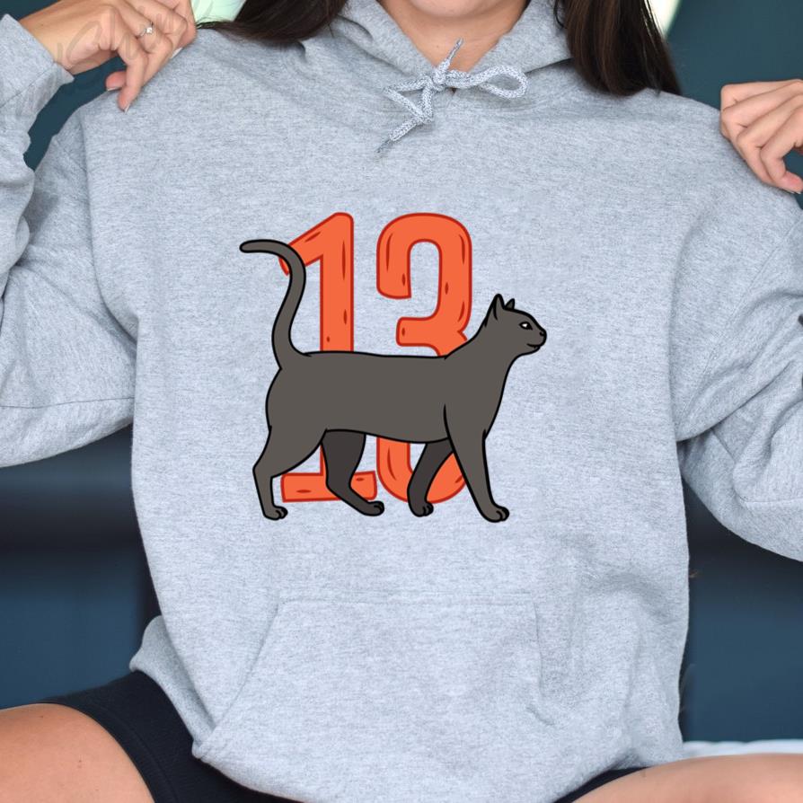 Black Cat With The Number 13 On It Hoodie