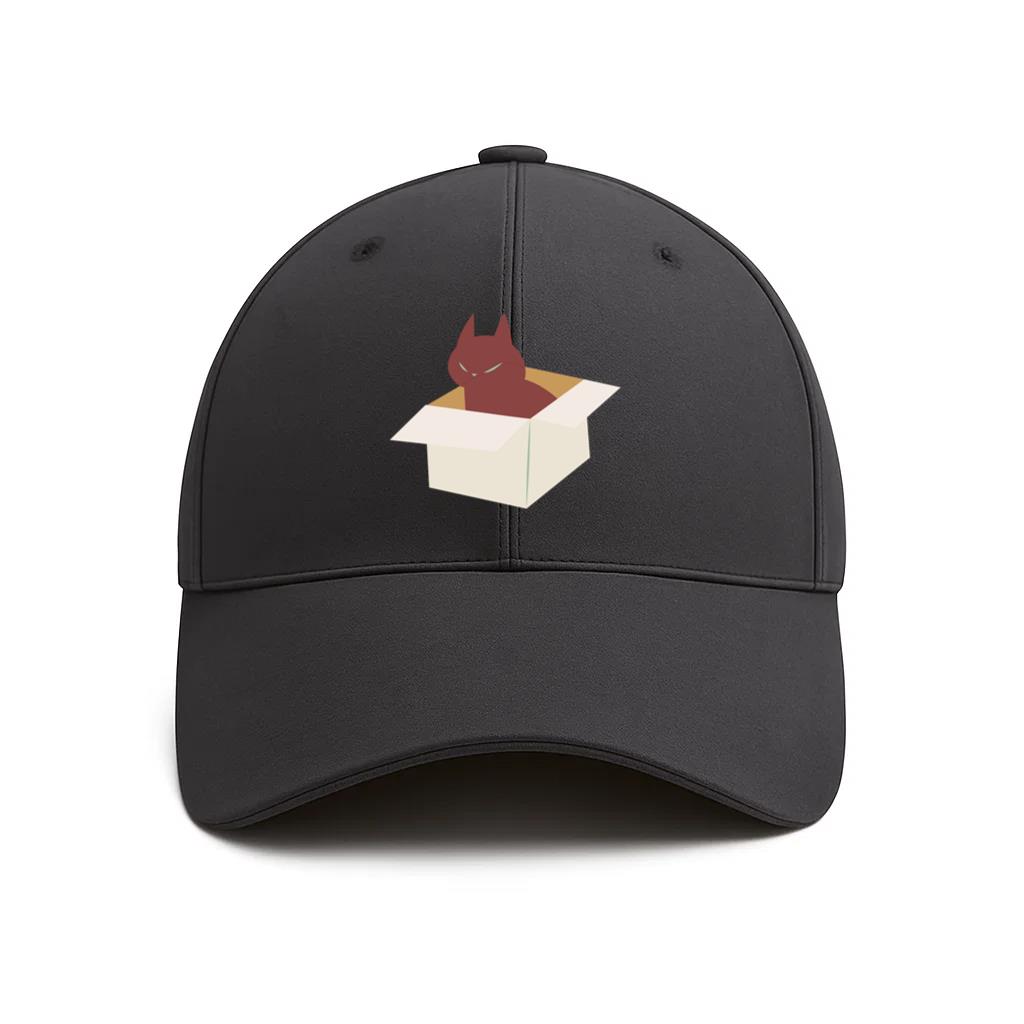 Cat Flat In A Box Cotton Baseball Hat