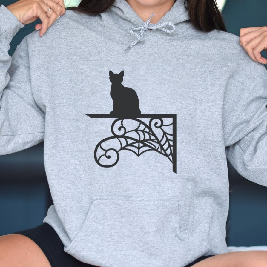 Cat Sitting On A Shelf With Spider Webs Hoodie