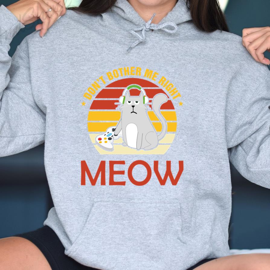 Dont Bother Me Right Meow Cat Lover Video Gamer Hoodie