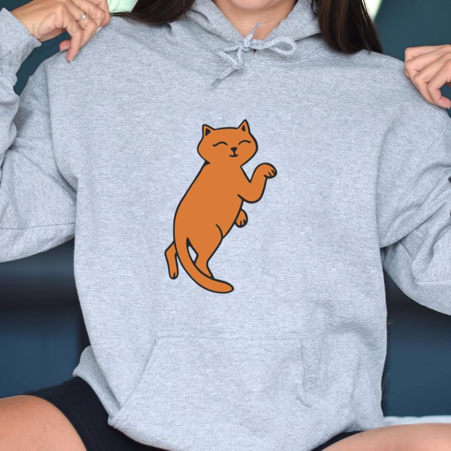 Orange Cat Is Standing On Its Hind Legs Hoodie